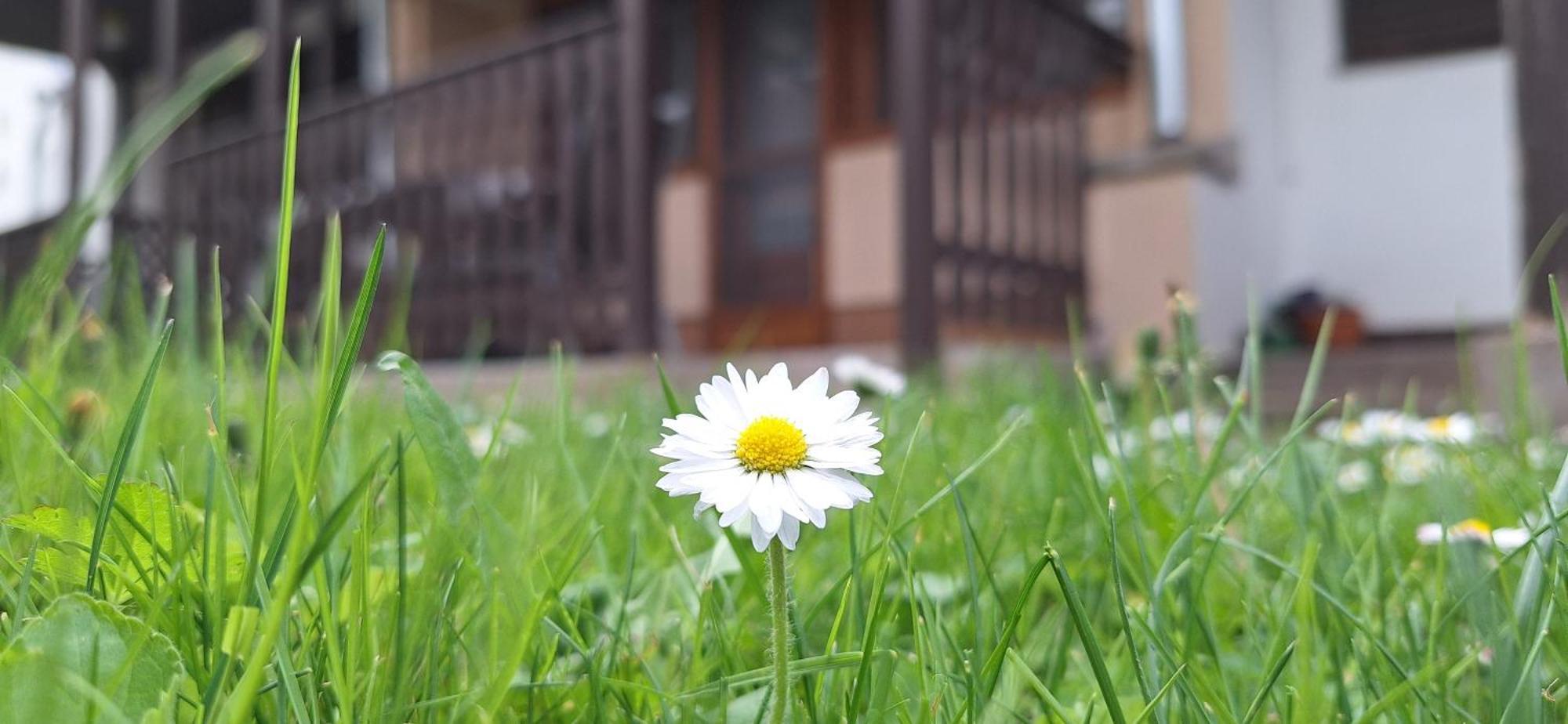 For You Apartman غيولا المظهر الخارجي الصورة